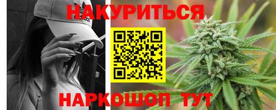 сатива Кингисепп