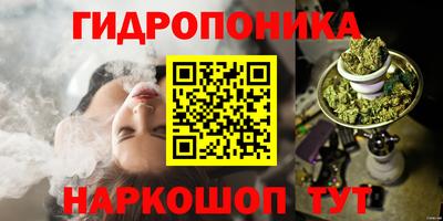 ПСИЛОЦИБИНОВЫЕ ГРИБЫ Кимры