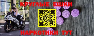 сатива Кингисепп