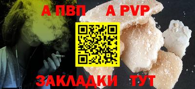 сатива Кингисепп