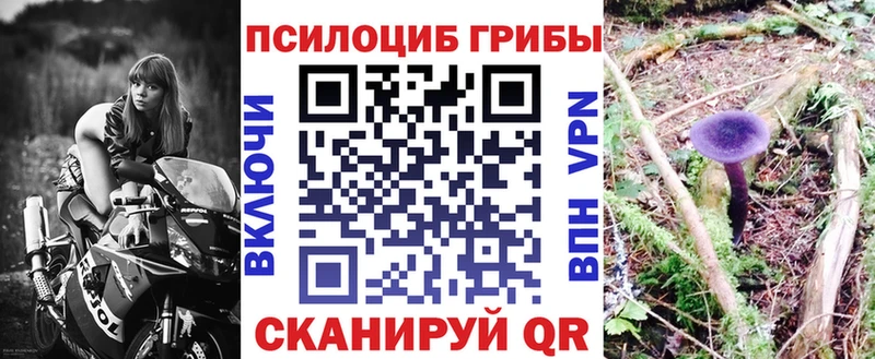Псилоцибиновые грибы Cubensis  наркотики  Урюпинск 