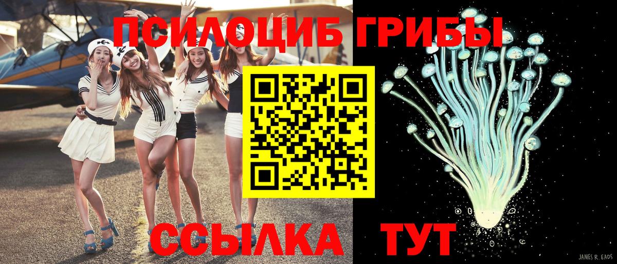 Псилоцибиновые грибы Psilocybine cubensis Урюпинск