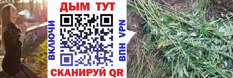 Каннабис планчик  Урюпинск 